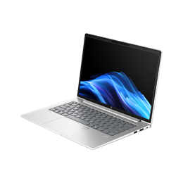 HP ProBook 4 G1a 14 (14", Ryzen 7 250, 16GB RAM, 512GB SSD, Win 11 Pro)