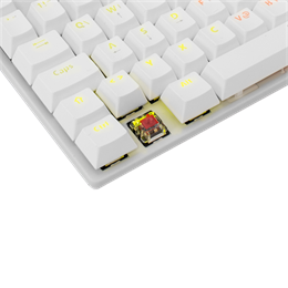 White Shark COMMANDOS GK-2106W/R-US billentyűzet (US, mechanikus Glory Red switch, 87 gomb, tenkeyless, USB 2.0, LED, fe