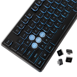 White Shark Tachi-B GK-003141B-US vezetékes membrán gamer billentyűzet (angol, 104 gomb, kék világítás, USB 2.0, fekete)